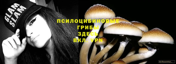 гашик Каменск-Шахтинский