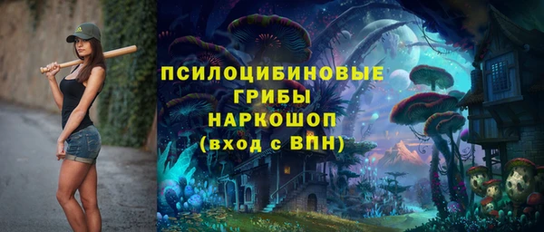 прущий лед Инта