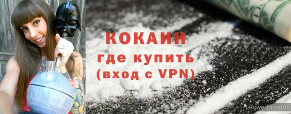 ALPHA PVP Каменка