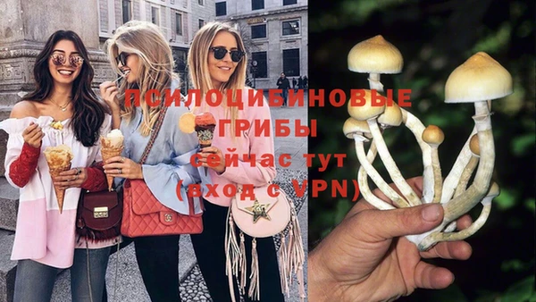 мяу мяу кристалл Иннополис