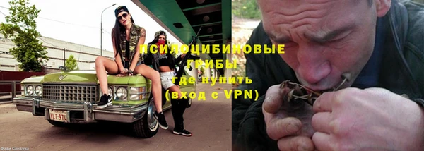 прущий лед Инта