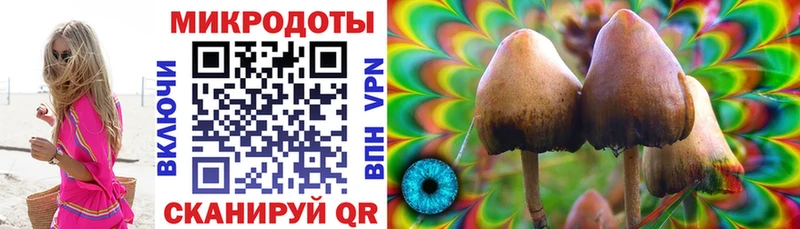 Купить где  Долинск  Псилоцибиновые грибы прущие грибы 